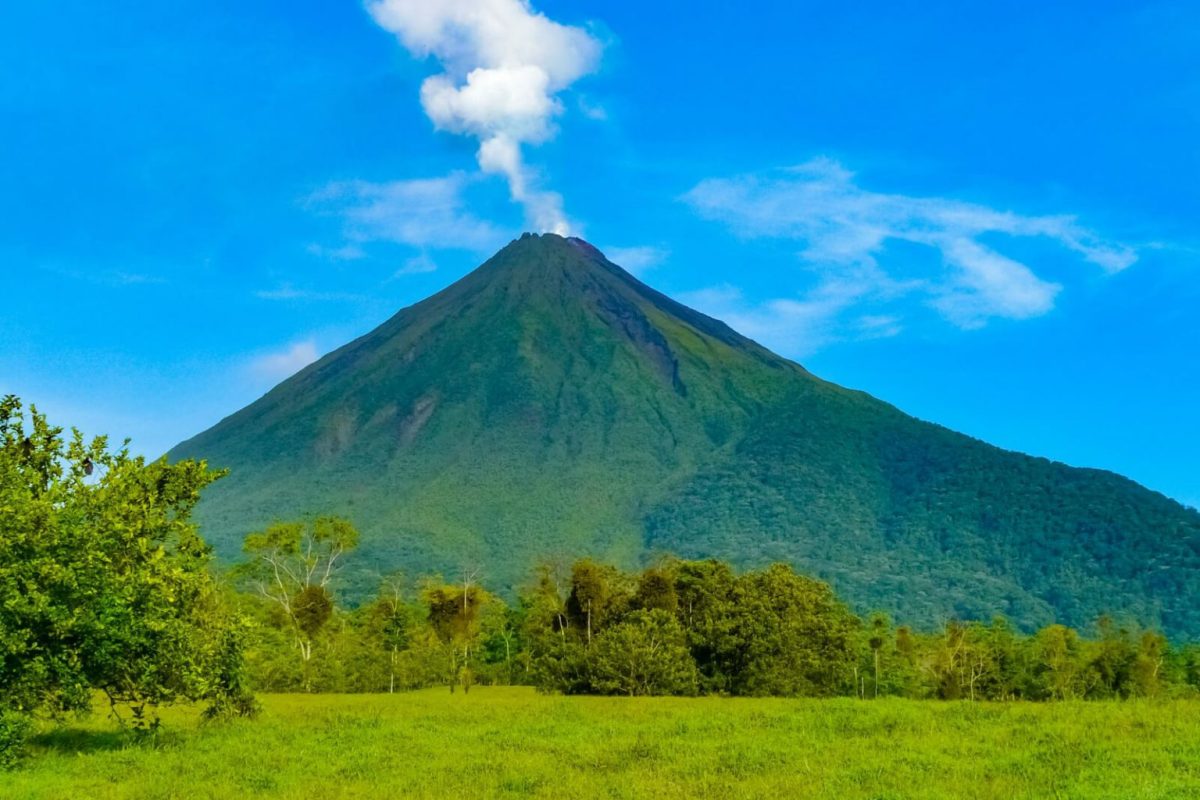 National economic empowerment development strategy green economy